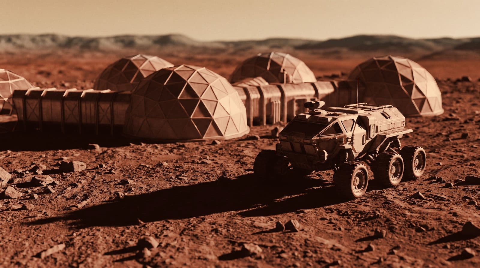 a second home for curiosity